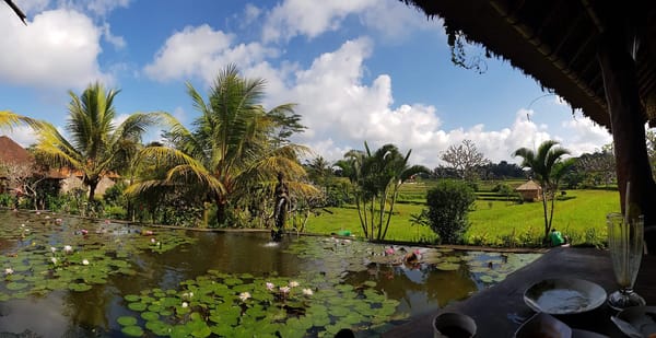 Things to do in Ubud, Bali, Indonesia: photo 4