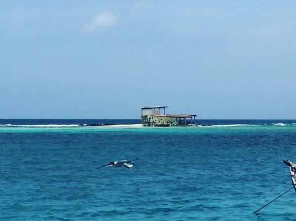 Aruba, One Happy Island: photo 2