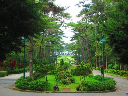 One day trip to City of Pines: Baguio City