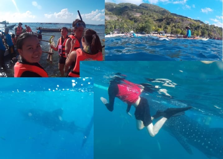 Top 5 Adventures to Do in Oslob: A Backpacker’s Guide