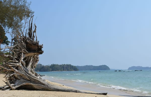 Andaman and Nicobar: perfect holiday spot.: photo 2