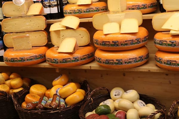 Top 5 cities to visit in the Netherlands: photo 32