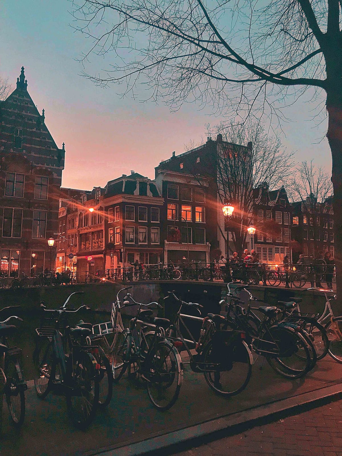 Amsterdam in Spring: What to do and where to go.