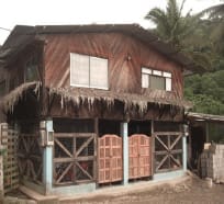 Mashpi Area of Conservation - Ecuador: photo 2
