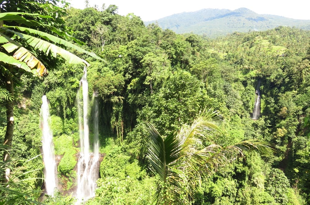 Sekumpul - Bali´s hidden Waterfall