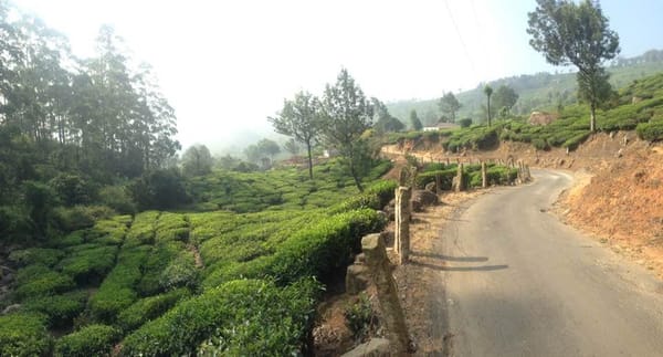 Tips for Cycle Touring in India: photo 15