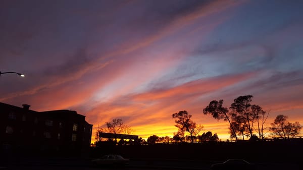 Oakland...not Auckland: photo 15