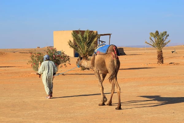 Merzouga Desert: Exploring Sahara On A Camel: photo 5