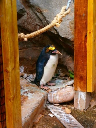 The Best Of English Torquay: photo 12