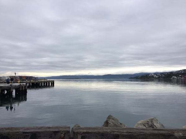 Live a year in New Zealand: photo 6