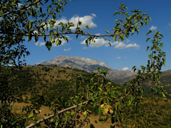 Vacation in Uzbekistan. Why not?: photo 9