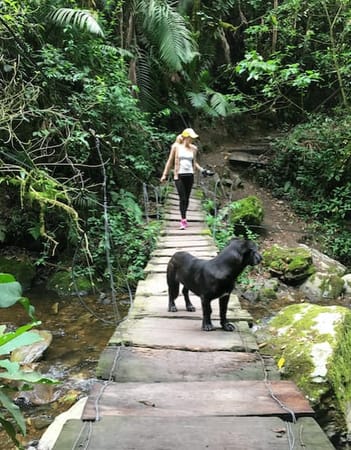 Salento and the Coffee Region of Colombia: photo 6