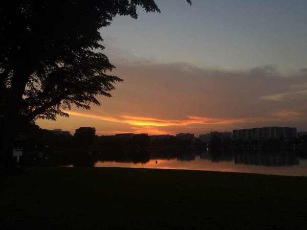 Singapore: Get Closer to Nature: photo 40