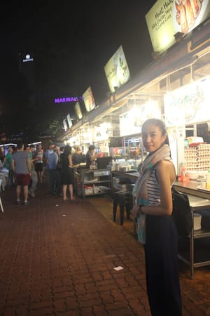 Singapore: Free trip by Transit Ticket: photo 5
