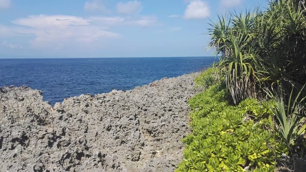 Bali : The Island Of The Gods: photo 3