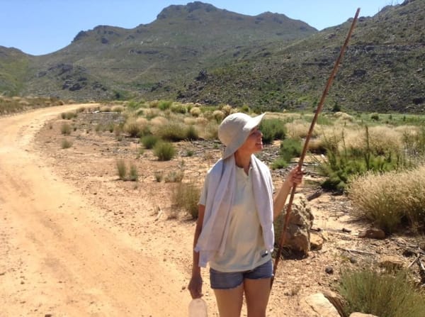 Experience Magical Grabouw, Elgin today: photo 5