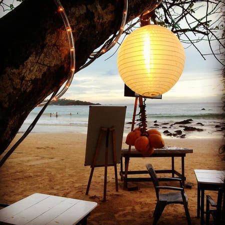 ''Discovering Sri Lanka with elephants, whales, pineapples and tuk tuk'': photo 1