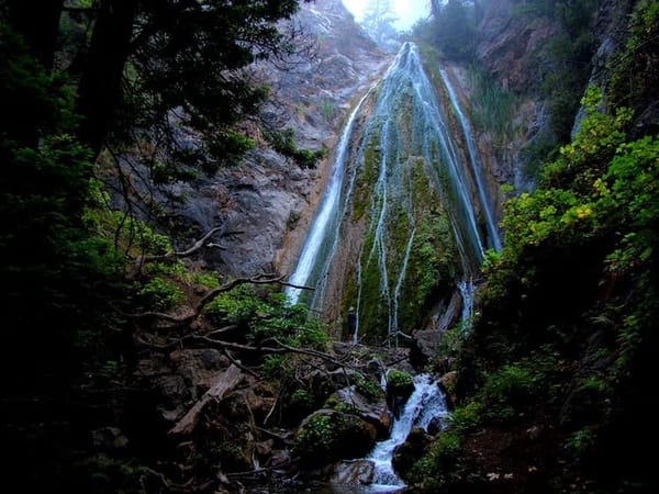The Locals Guide to Big Sur, California: photo 4