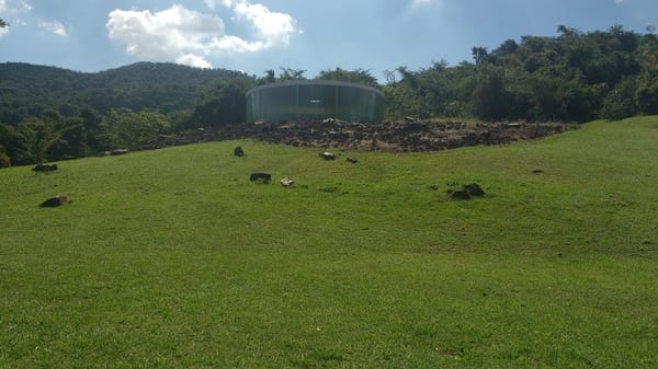 INHOTIM: A unique combination of Nature and Art in MG - Brazil: photo 7