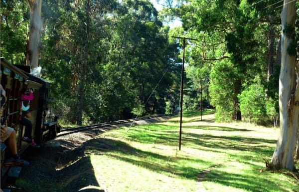Melbourne: Attractions and Activities!: photo 3