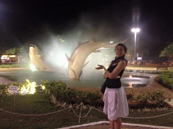 Bonito, Mato Grosso do Sul: 4 days of a road trip in Brazil: photo 3