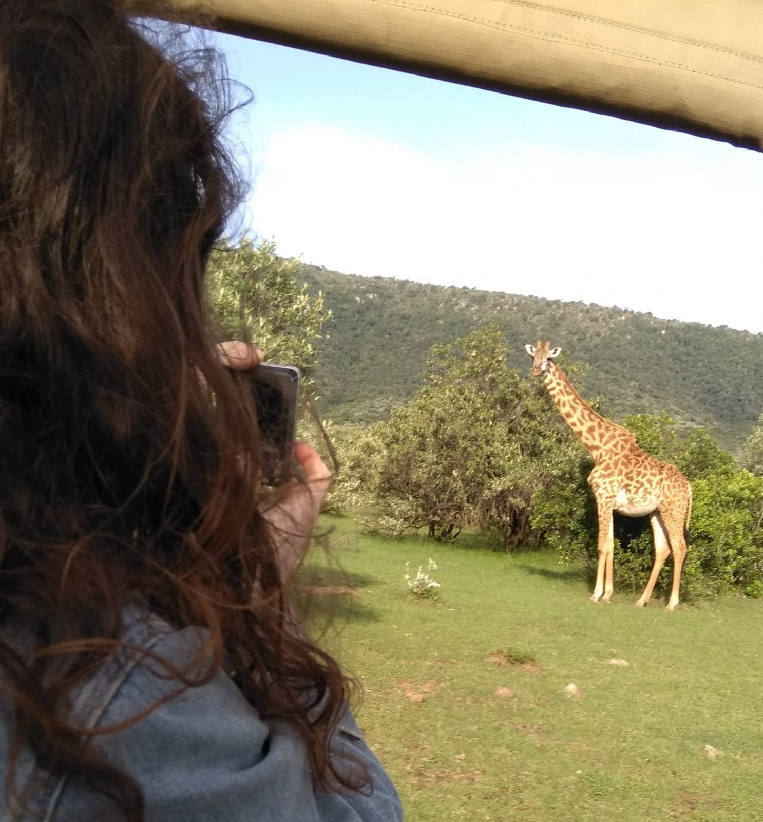 Masai Mara Travel Guide -  A quick overview