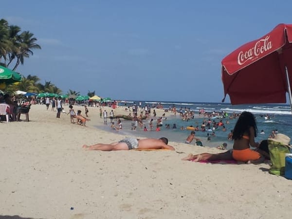 Dominican Republic: The Perfect Holiday Destination: photo 3