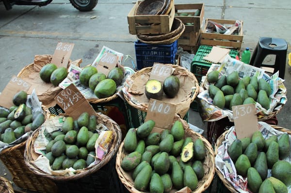 Peru:Trujillo - City of eternal spring: photo 3