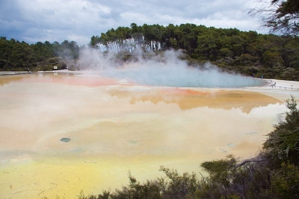 Wai-O-Tapu: the best volcanic park in New Zealand: photo 8