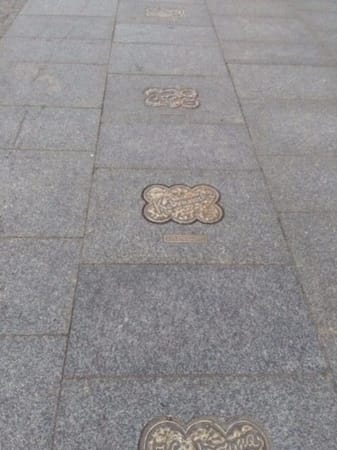 Poland: My hometown Toruń: photo 17