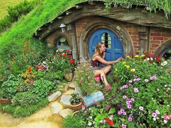 New Zealand's North Island: 5 Amazing Experiences: photo 1