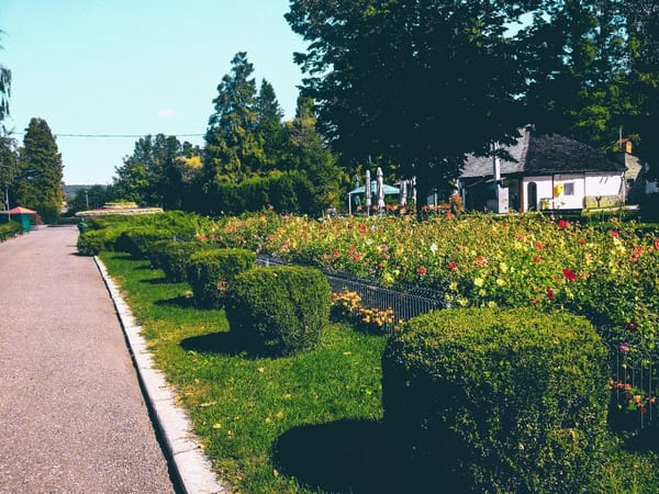 A weekend escape in Pitesti - The city of tulips: photo 7