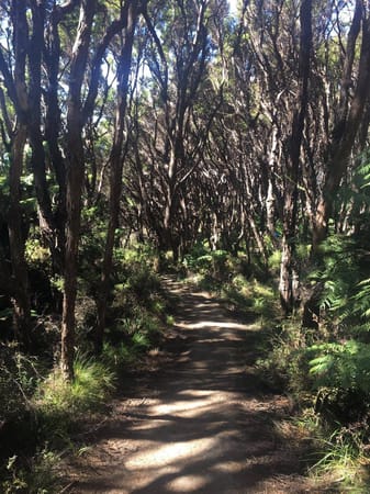 New Zealand South Island: Exploring the Abel Tasman: photo 2