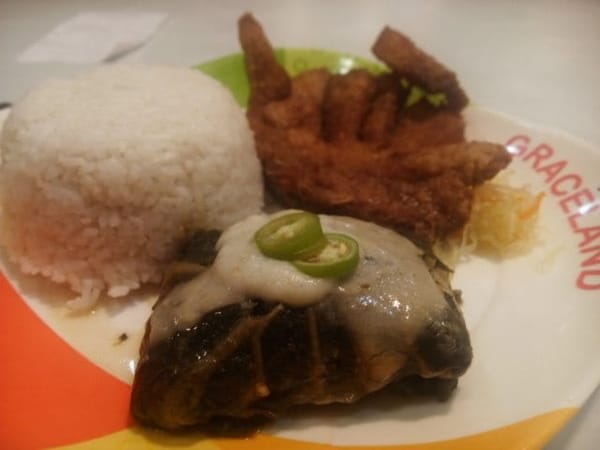 Flying Solo in Albay: photo 8