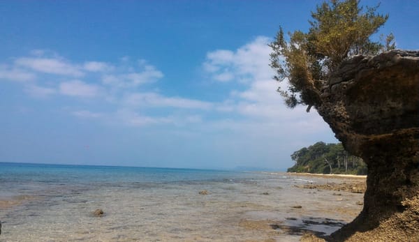 Andaman : The undisputed Paradise.: photo 11
