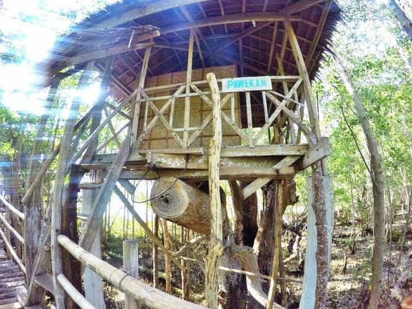 Philippines: The Majestic Island of Siquijor: photo 17