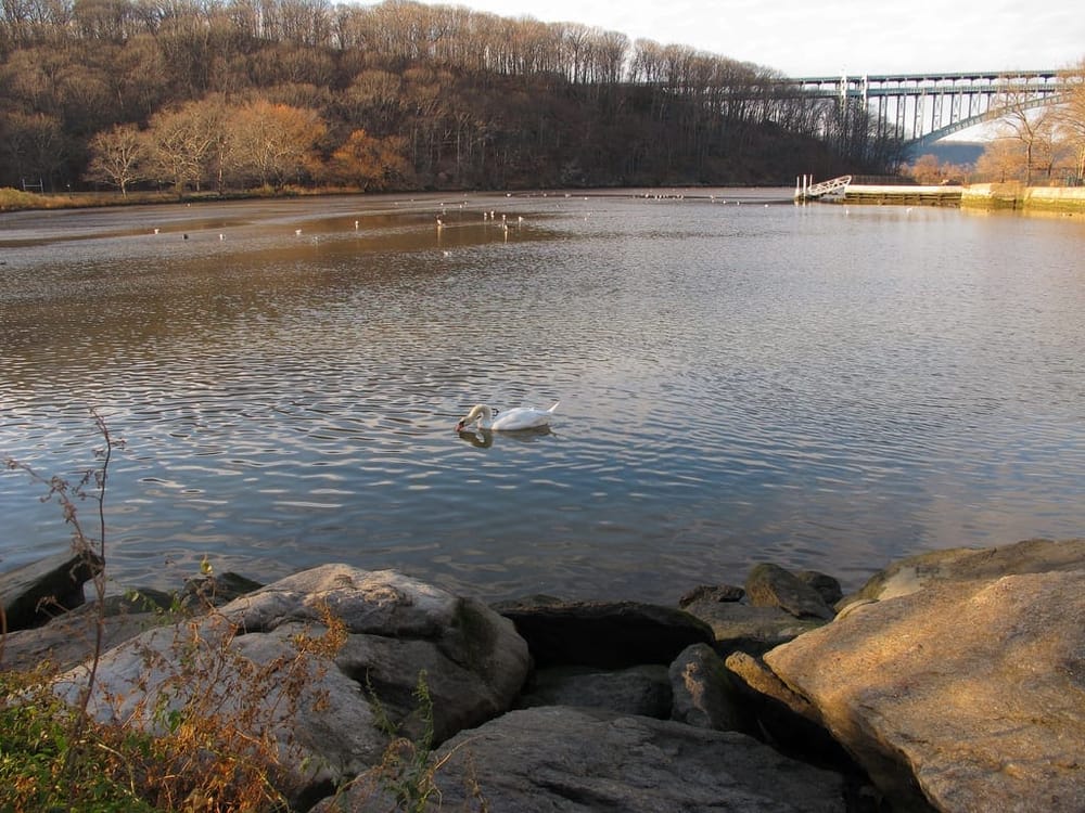 Underappreciated Spots In New York City You Must Visit