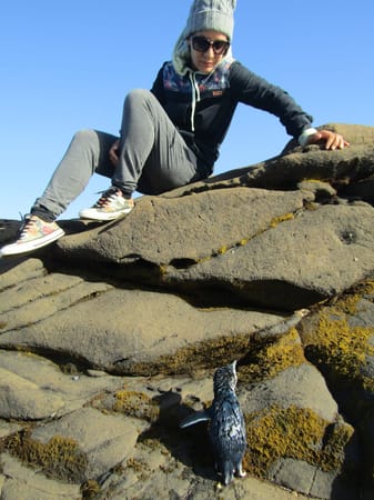 Natural wonders in the Catlins region: photo 10