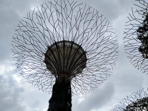 What to Cover on a 5-Day Trip to Singapore: photo 7