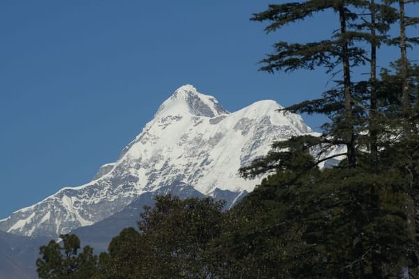 Gwaldam: A Lesser Known Hill station Perfect for a Quiet Respite: photo 3