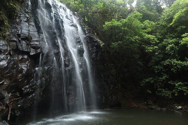 Explore Far North Queensland: photo 4