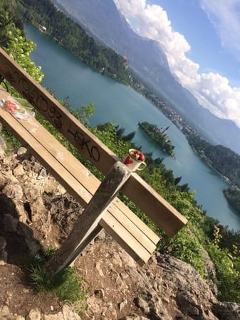 Slovenia - Lake Bled: photo 8