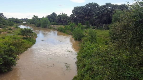 Visit Siem Reap: What to Do and See: photo 2