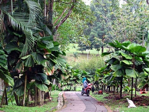 Kuala Lumpur: A City of Diversity: photo 8