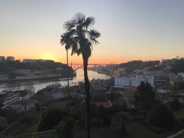 Portugal: the perfect blend of culture and beauty in Porto: photo 8