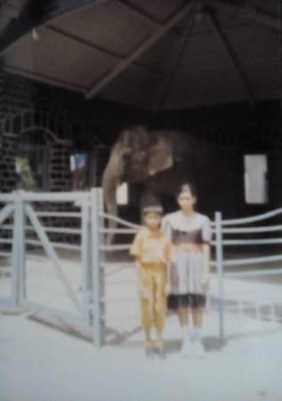 Sightseeing and Tourist Attractions in Mumbai: photo 19