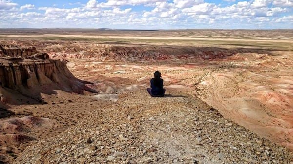 Mongolia: Lost in Gobi Desert: photo 4
