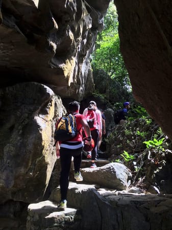 A Thrilling Treetop Adventure in Masungi Georeserve: photo 11