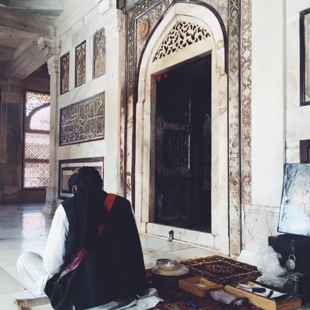 INDIA: The Magical Wonders of Agra: photo 7