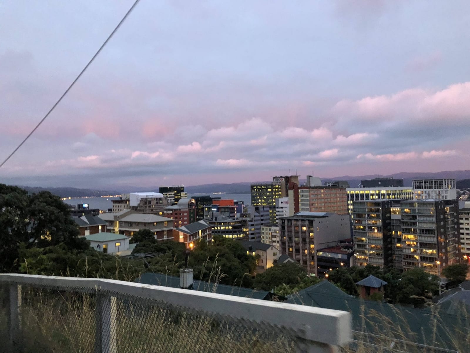 Wellington, the Windy City of Artists